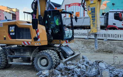 Begrünung im Werksviertel